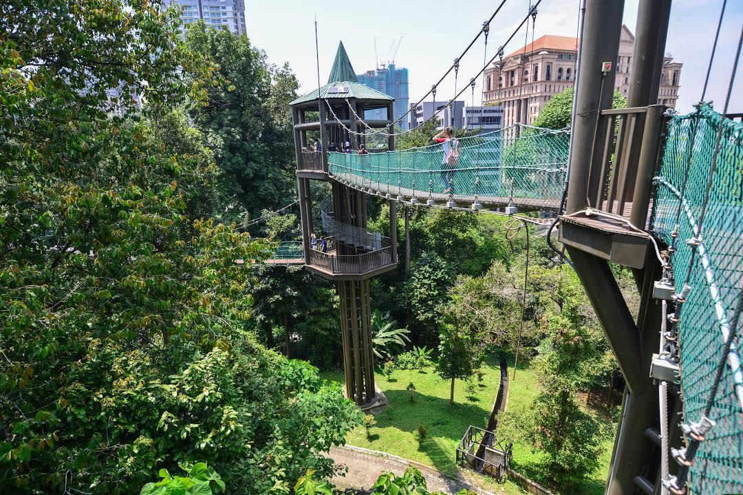 Bukit Nanas skogsreservat